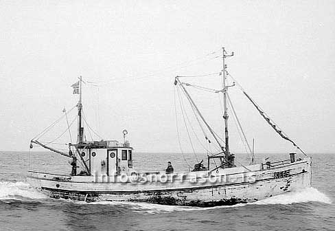 ss03541-01