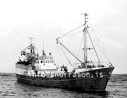 ss03546
