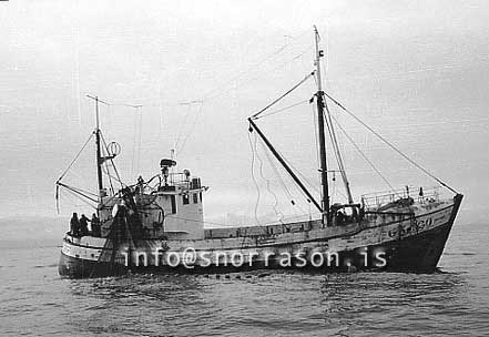 ss03548-01