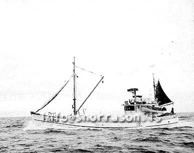 ss03554-01