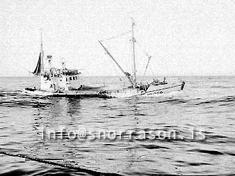 ss03556-01