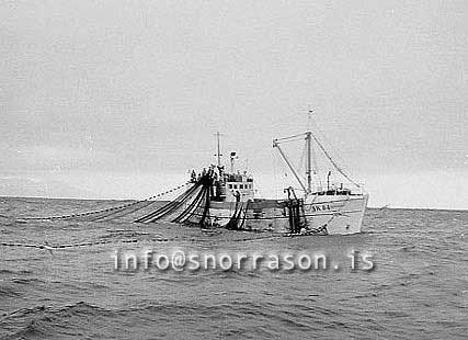 ss03557-01