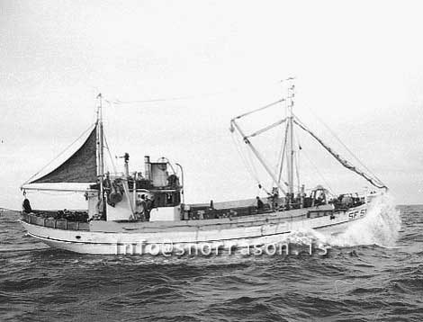 ss03568-01