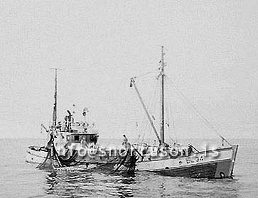 ss03575-01