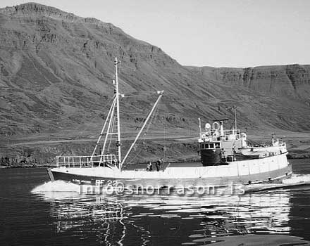 ss03579-01
