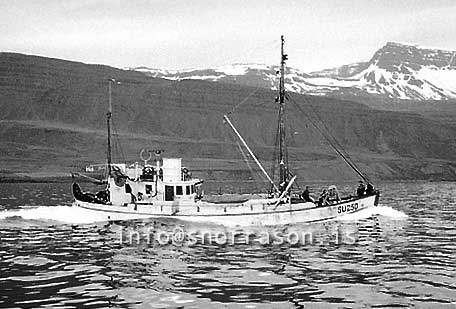ss03585-01
