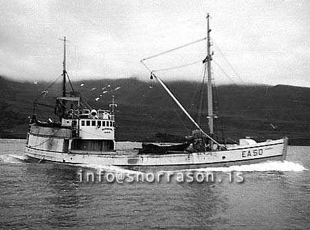 ss03591-01