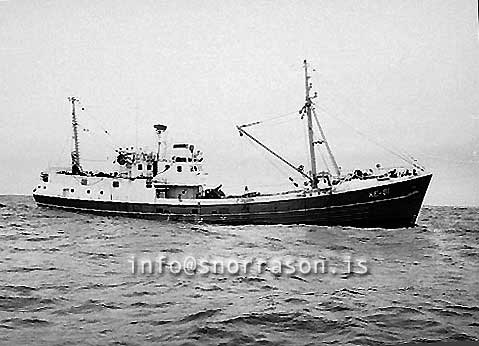 ss03594-01