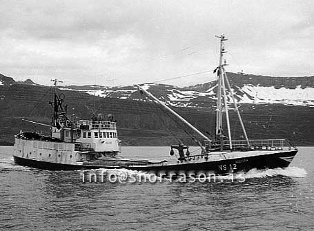 ss03596-01
