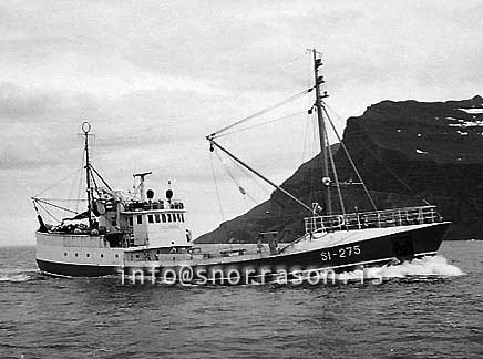 ss03597-01