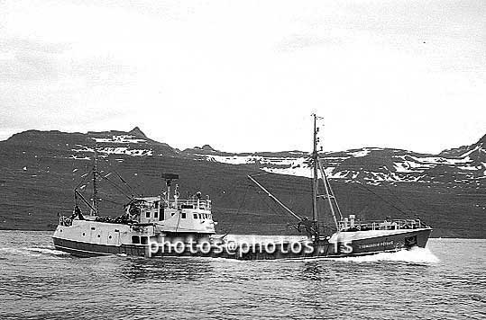 ss03648-01