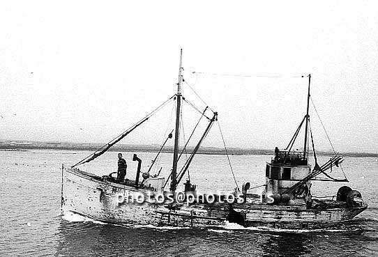 ss03664-01