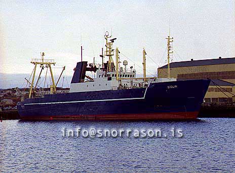 ss00541-01