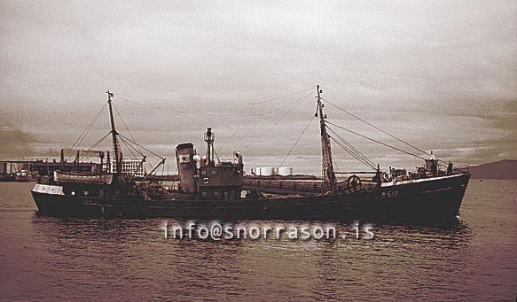 ss01569