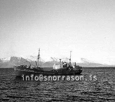 ss01693-01