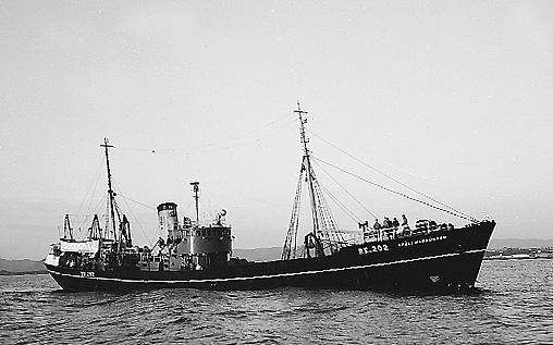 ss01891