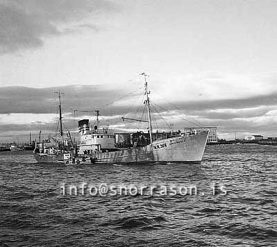 ss02542-01