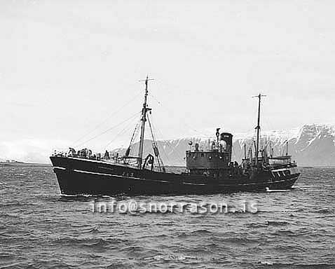 ss03017-01