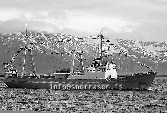 ss03152-01