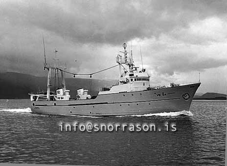 ss03163-01