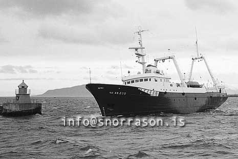 Filma: SS03289-01