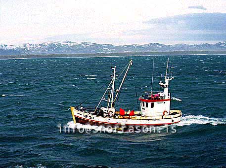 ss00590-01