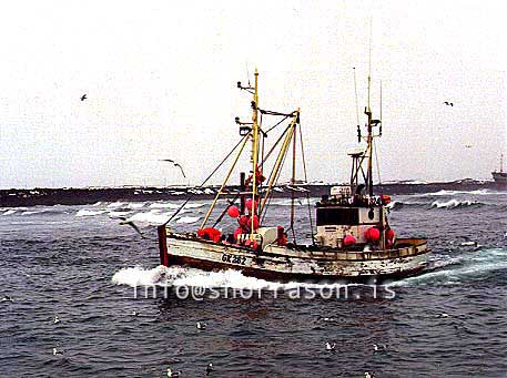 ss00726-01