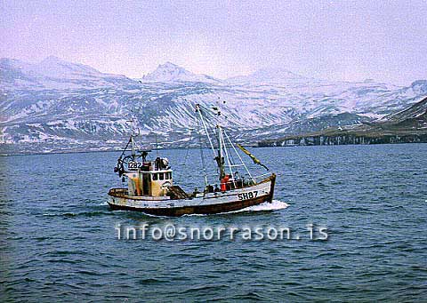 ss00776-01