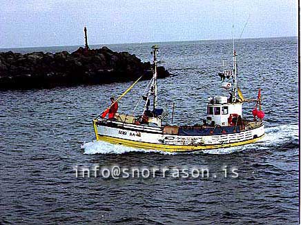 Filma: SS00781-01