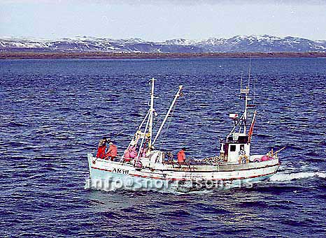 ss00926-01
