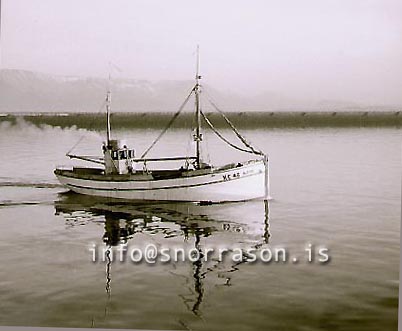 ss01566