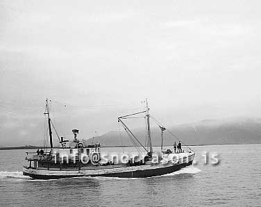 ss01732-01