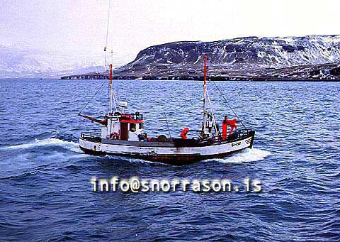 ss00775-01
