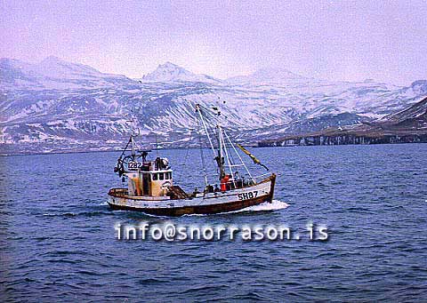 Filma: SS00776-01