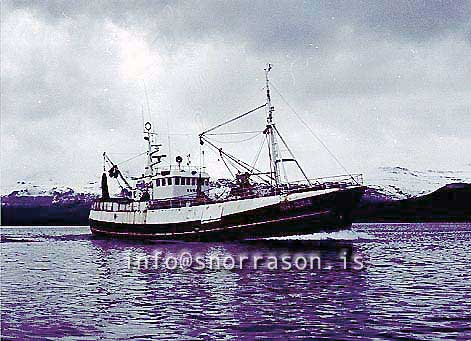 ss01004-01