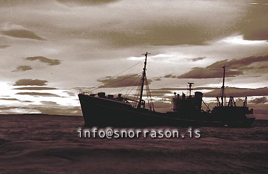 ss01593