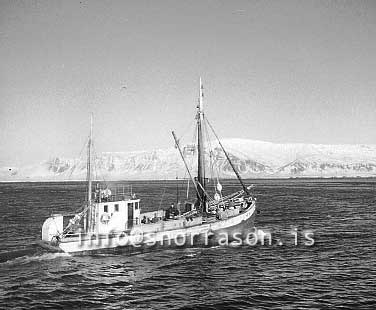 ss01664-01