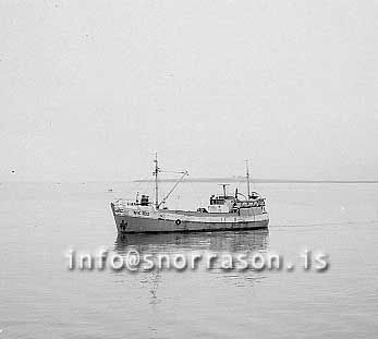 ss01684-01