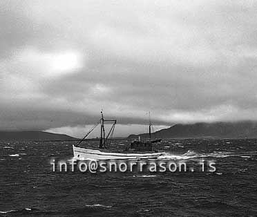 ss01736-01