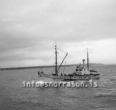 ss01972-01