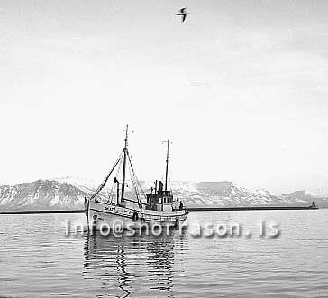 ss01976-01