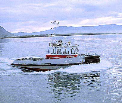 Ýmis skip / Various ships