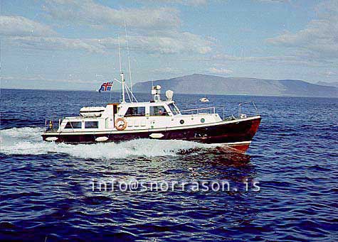 ss01191-01.jpg