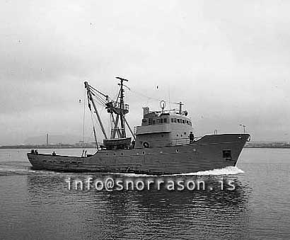 ss02811-01