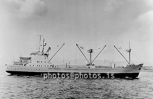 ss03951-01