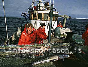 Fiskveiðar / Fishing