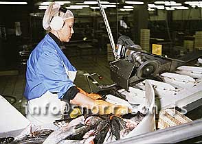 Filma: HS001582-01