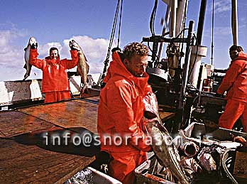 Filma: HS001662-01
