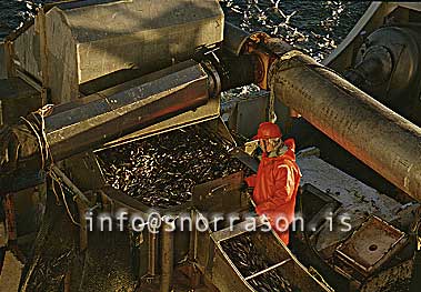 Filma: HS001681-01