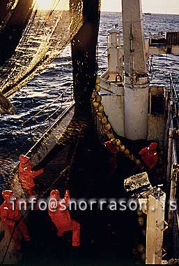 Filma: HS001682-01